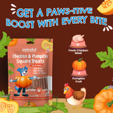 Pumpkin chicken dog treats